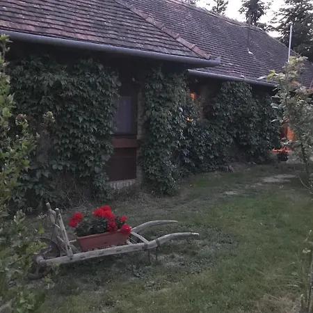Pensión Vadszolos Porta Ispánk