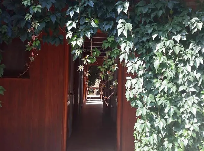 Guest house Vadszolos Porta *